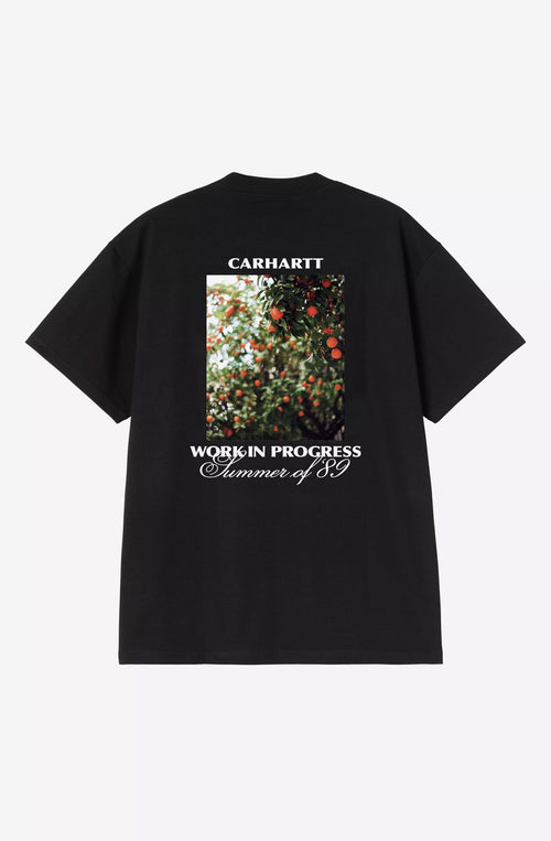 T-shirt Carhartt WIP Warm Views Organic
