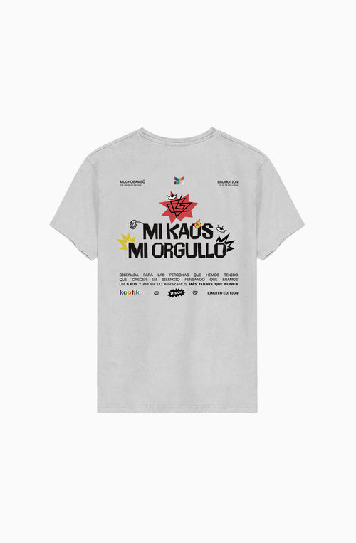 Pride 2026 Gray T-Shirt