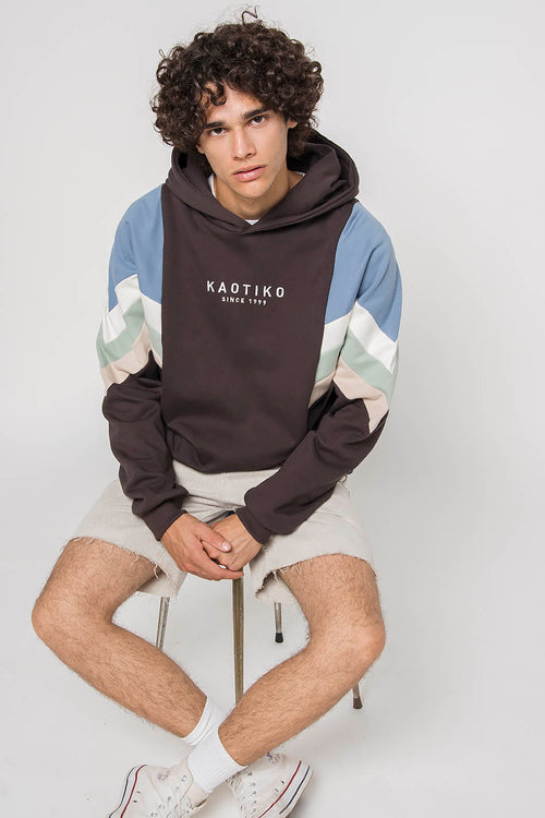 Sweat-shirt Capuche Ewan Gris/Bleu/Ivoire/Vert
