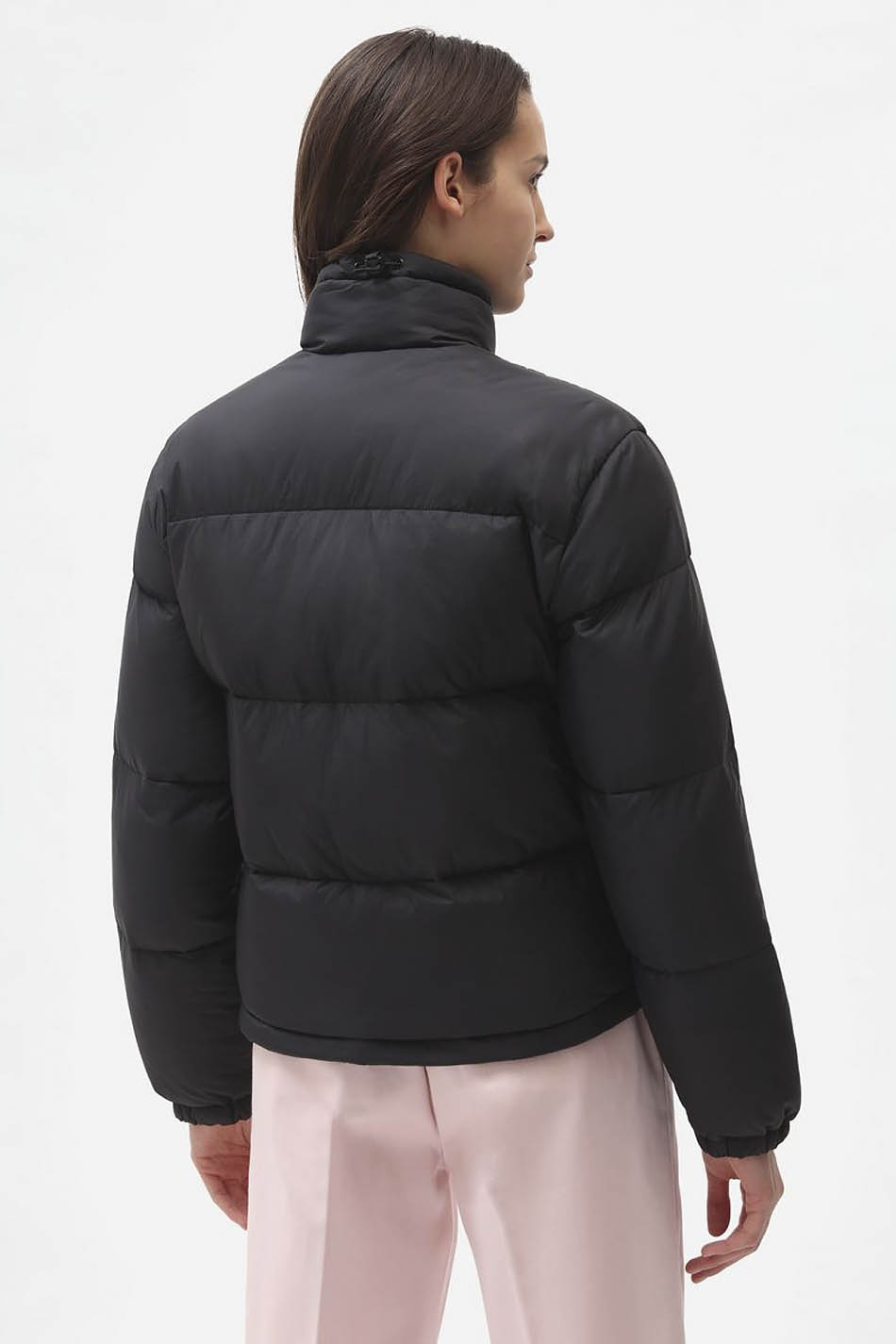 Veste Dickies Alatna Noir