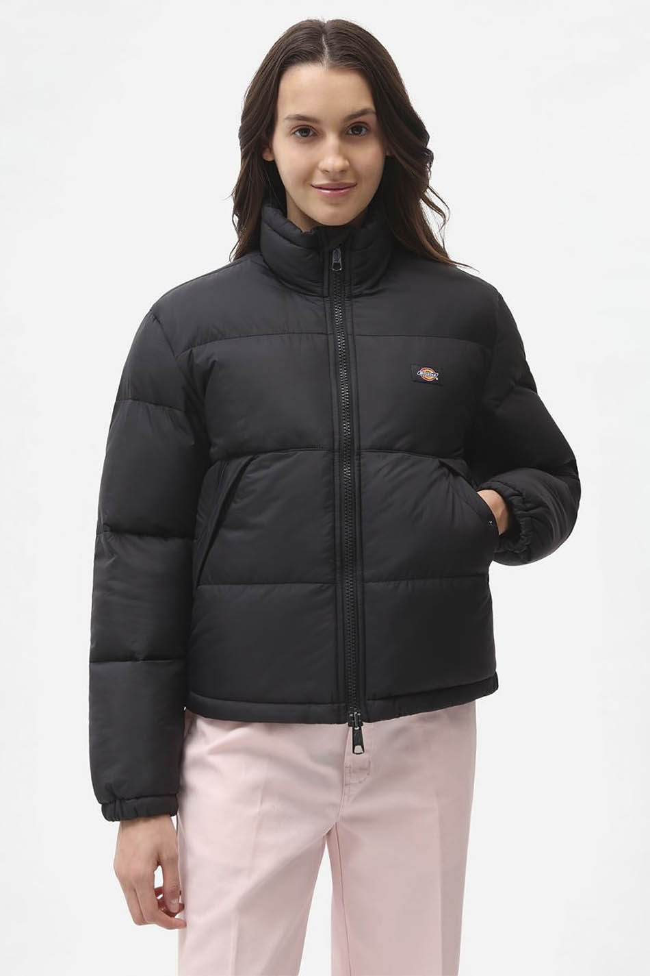 Veste Dickies Alatna Noir