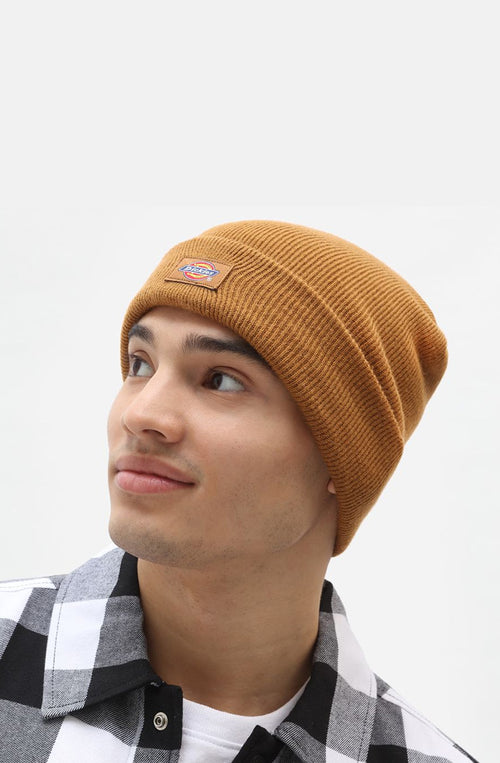 Casquette Dickies Gibsland Brown Duck 