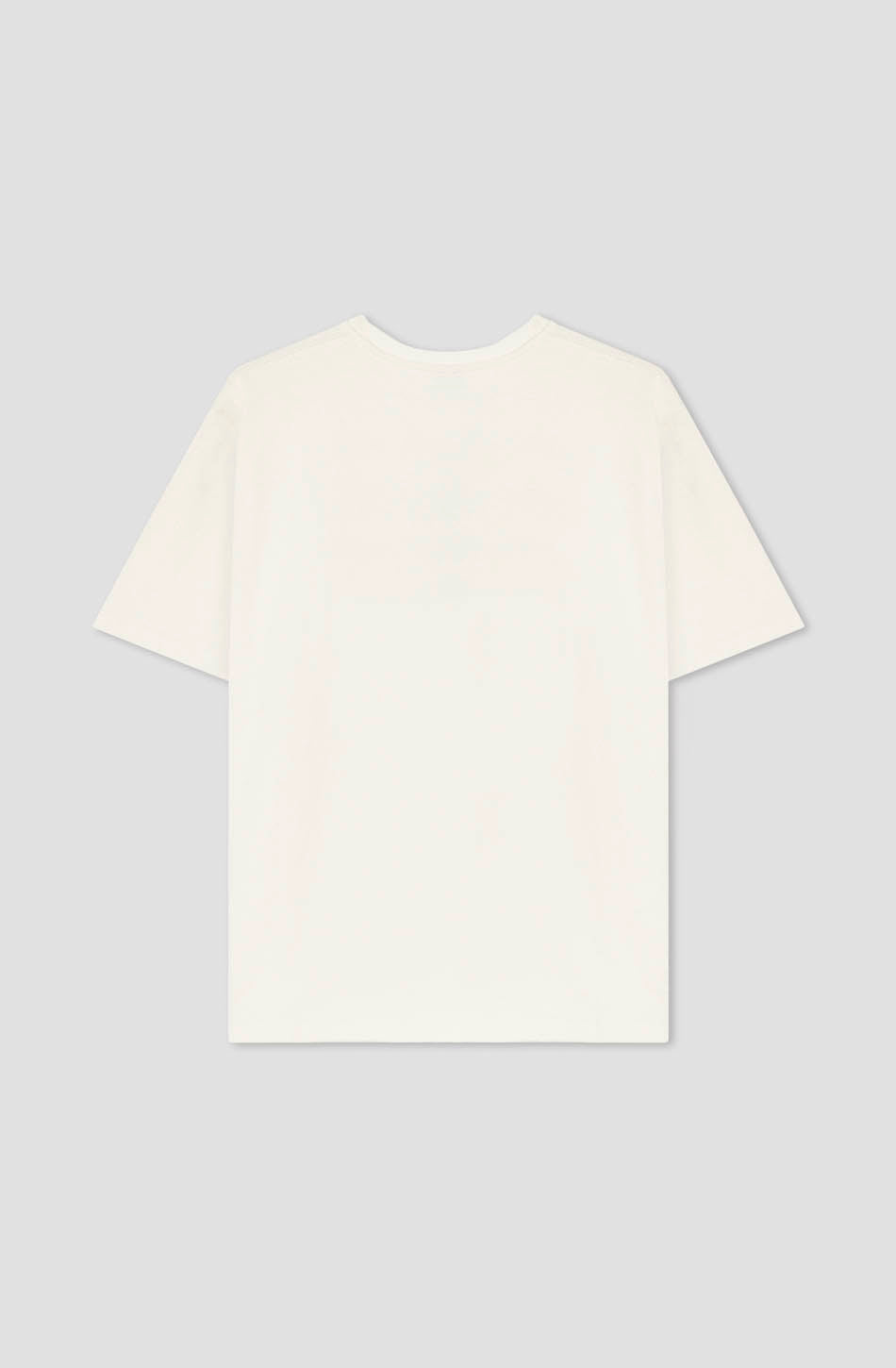 Washed Puppies Elliott Ivory T-Shirt