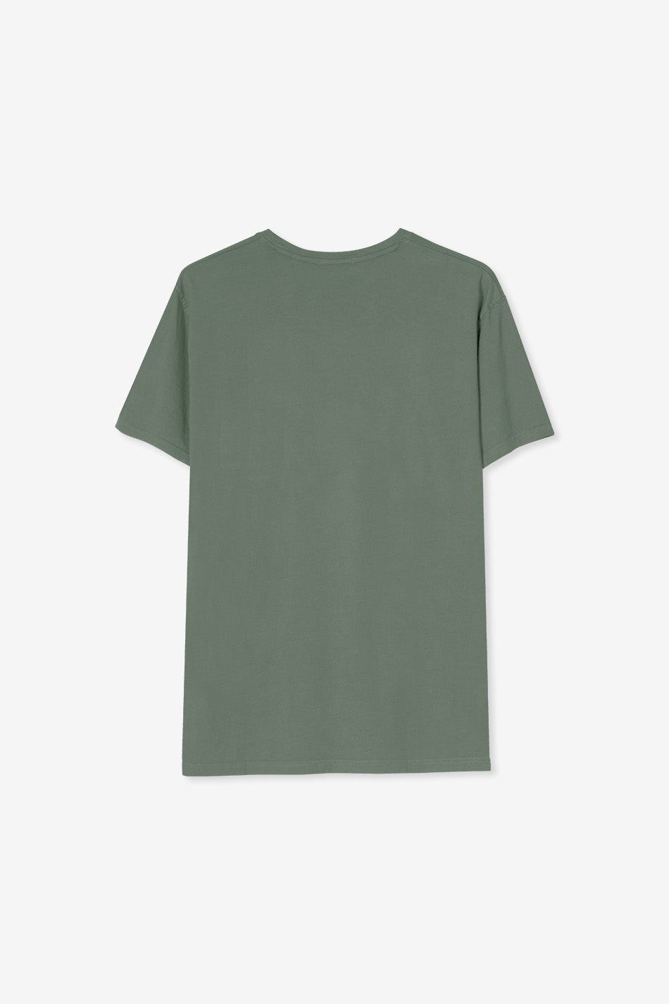 T-shirt vert cygnes lavés