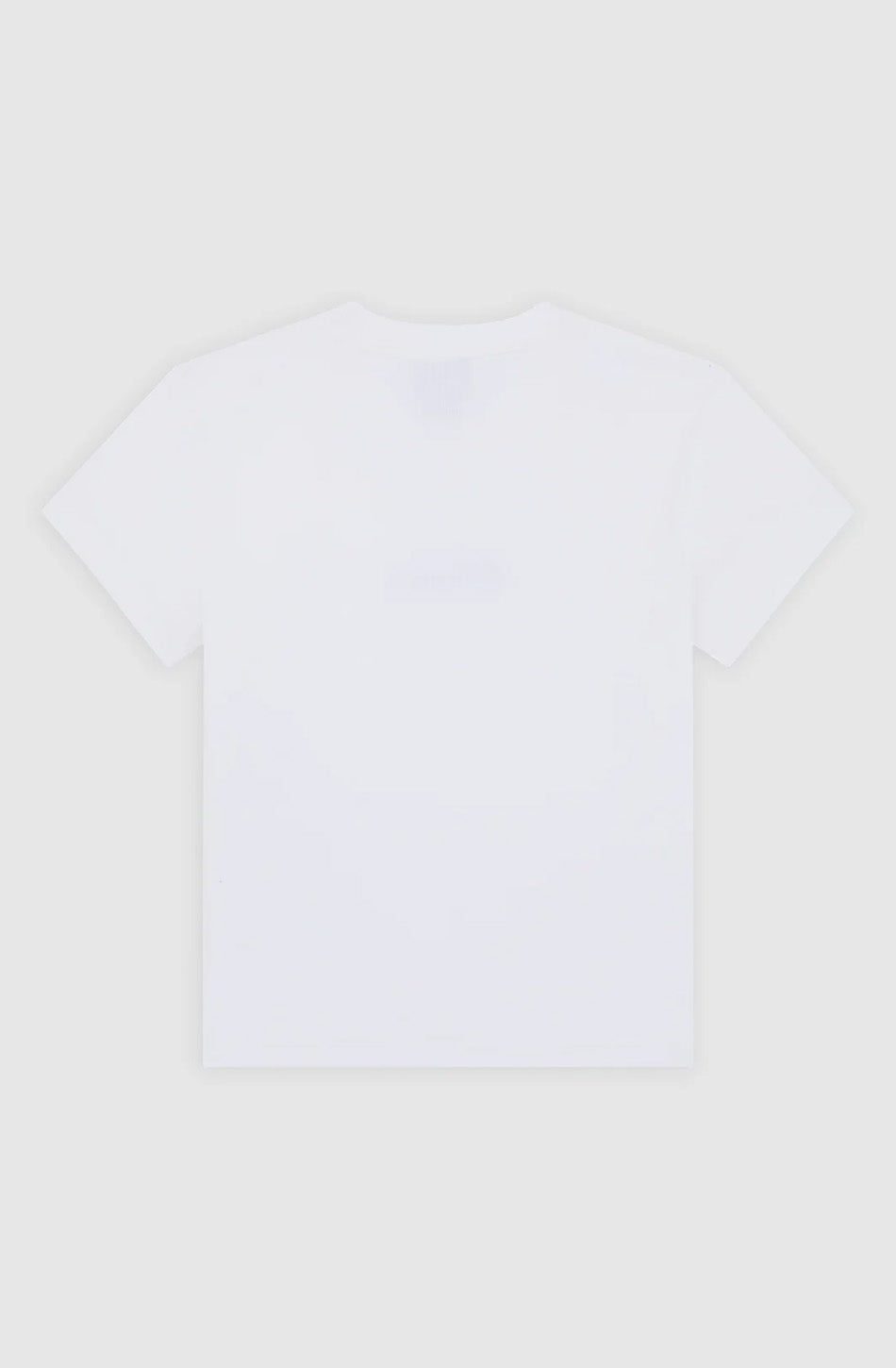 T-shirt Dickies Wellsville White