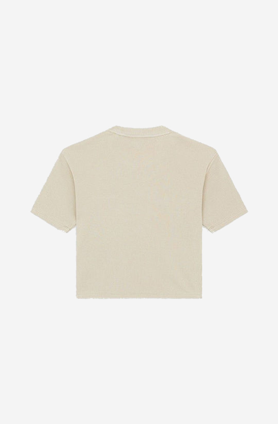 Dickies Plentywood T-Shirt Eukalyptus
