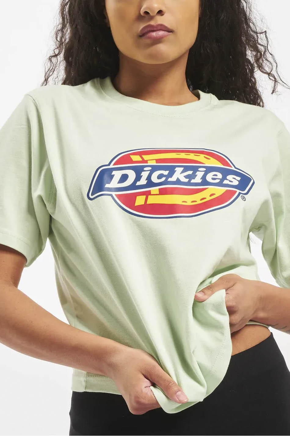 T-shirt Dickies Horseshoe Menthe