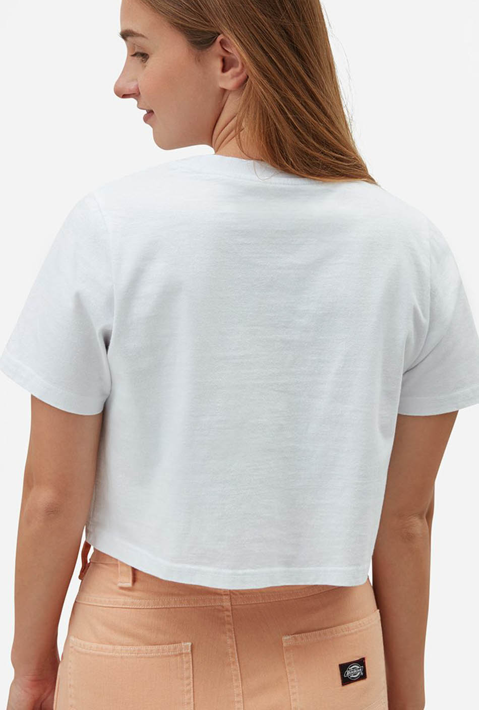 T-shirt Dickies Ellenwood Blanc