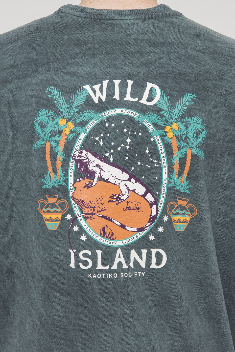Sweatshirt délavé Wild Island