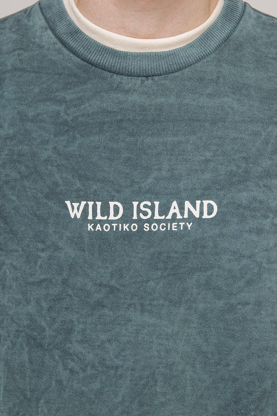 Sweatshirt délavé Wild Island