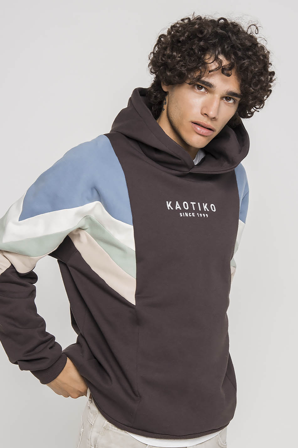 Sweat-shirt Capuche Ewan Gris/Bleu/Ivoire/Vert