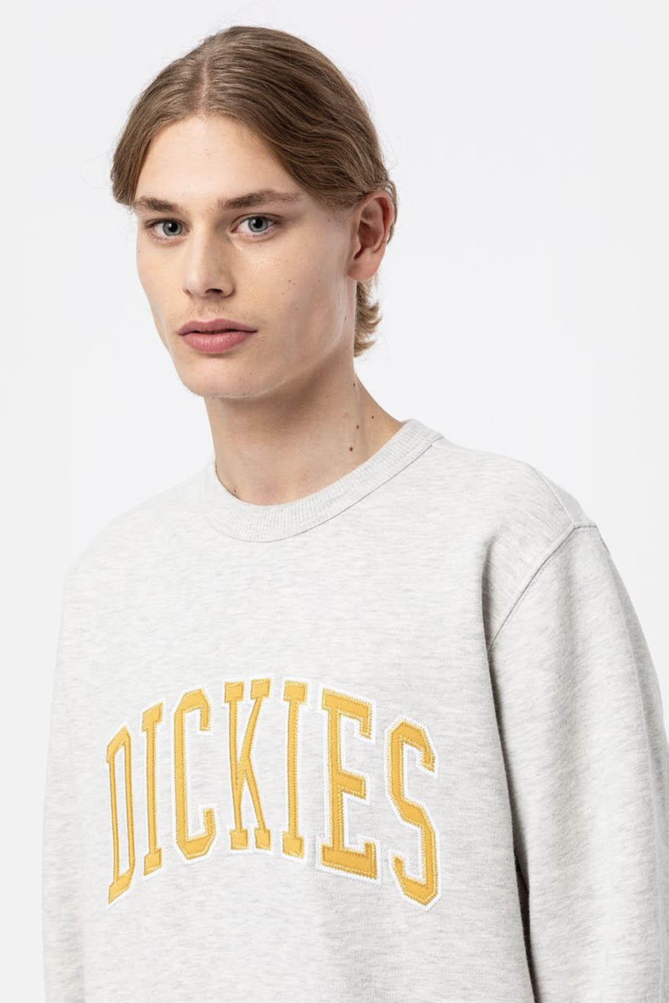 Sweatshirt Dickies Aitkin