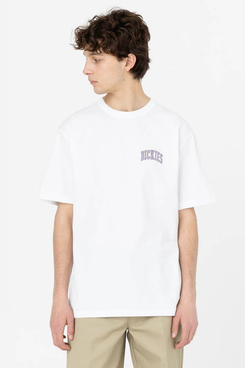 T-shirt Dickies Aitkin Blanc