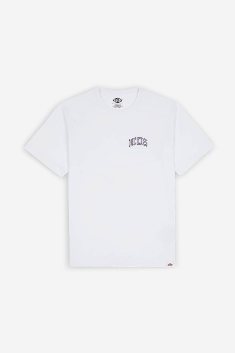 T-shirt Dickies Aitkin Blanc